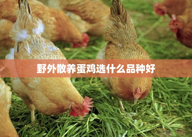 低保一年可以领多少钱