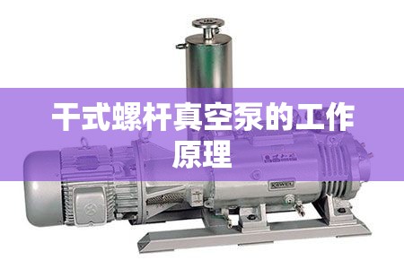 干式螺杆真空泵的工作原理
