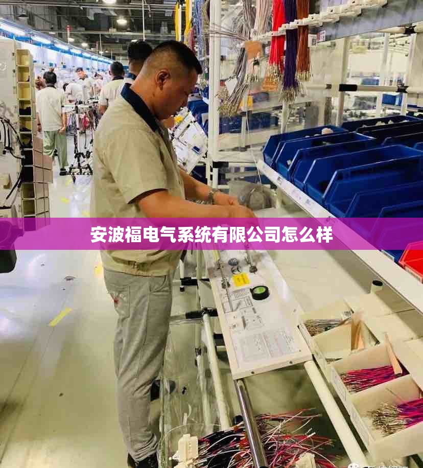 安波福电气系统有限公司怎么样