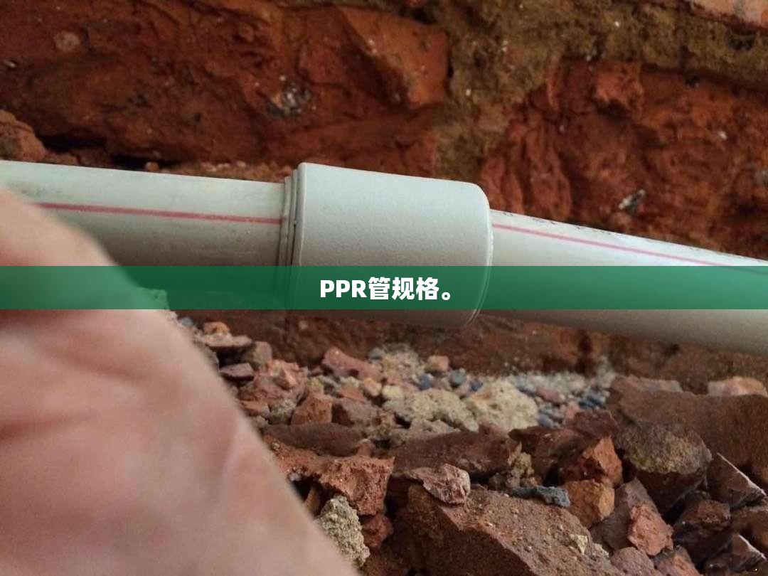 干式螺杆真空泵的工作原理