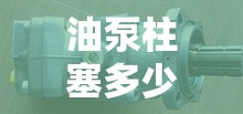 中国现在有哪些城市有共享汽车了