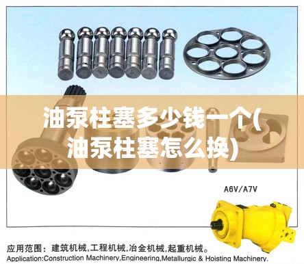 油泵柱塞多少钱一个(油泵柱塞怎么换)