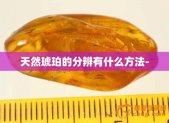 炒原油黄金需要什么软件