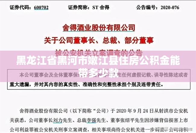 黑龙江省黑河市嫩江县住房公积金能带多少款