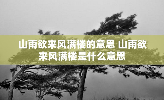 诺安先锋的基金经理是-