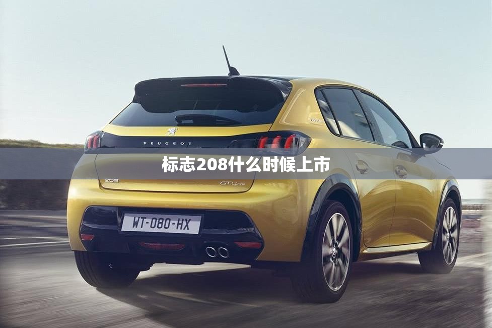 标志208什么时候上市