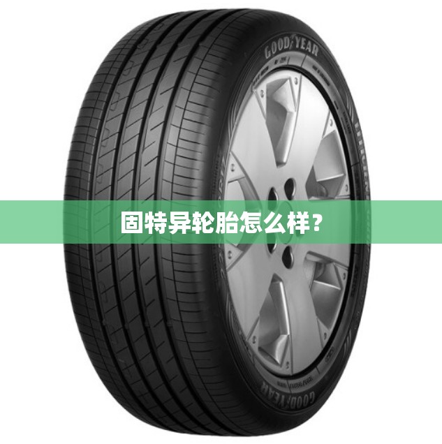 澳洲政府都做了什么？