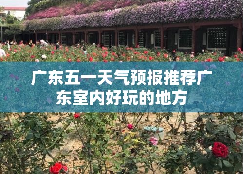广东五一天气预报推荐广东室内好玩的地方 广东五一天气预报推荐广东室内好玩的地方