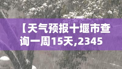 柳州未来一周天气预报