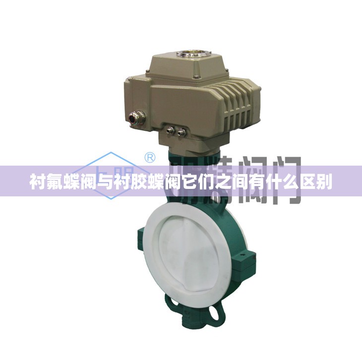 衬氟蝶阀与衬胶蝶阀它们之间有什么区别
