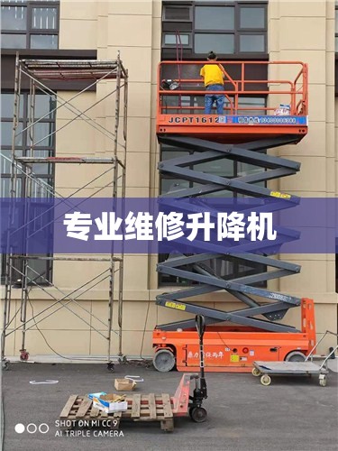 专业维修升降机/专业维修升降机厂家 专业维修升降机/专业维修升降机厂家