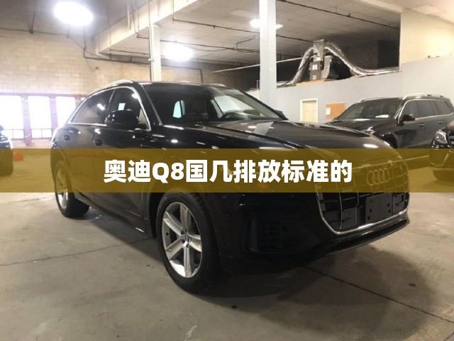 奥迪Q8国几排放标准的 奥迪Q8国几排放标准的