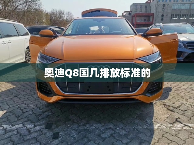 奥迪Q8国几排放标准的 奥迪Q8国几排放标准的