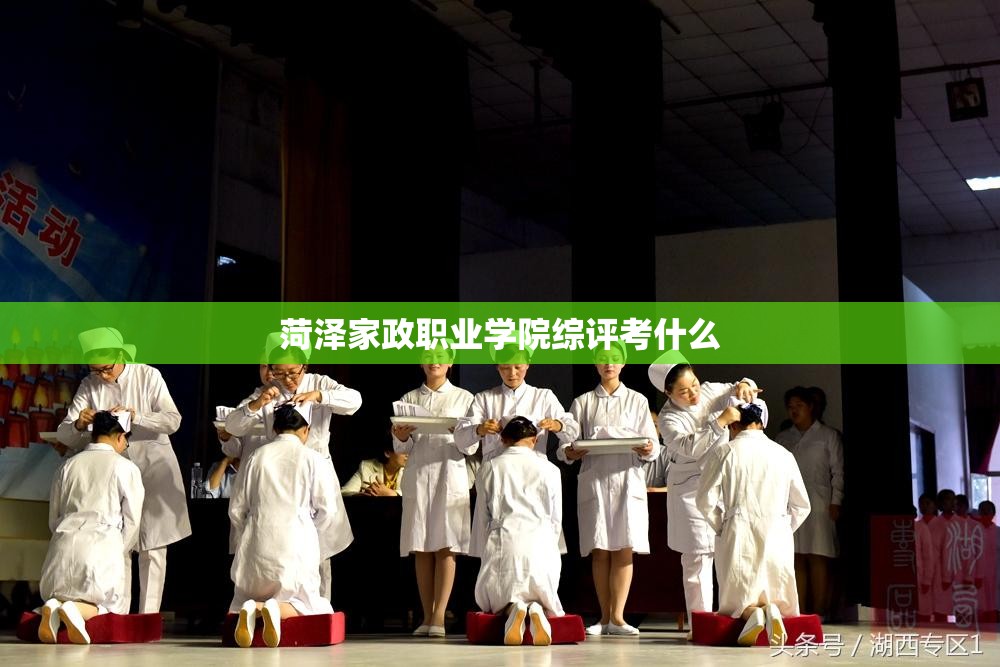 擎天柱汽车人(擎天柱汽车人变形代码)