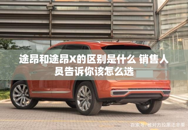 途昂和途昂X的区别是什么 销售人员告诉你该怎么选