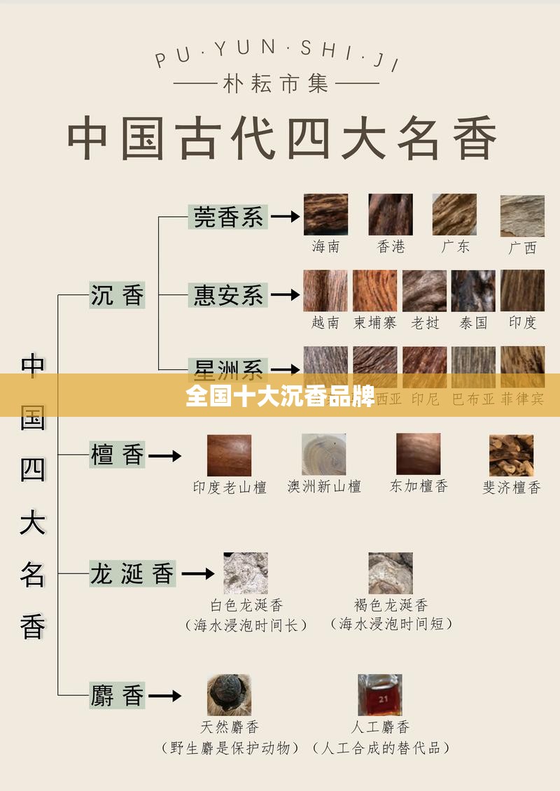 关于st退市的股票的简单介绍的信息