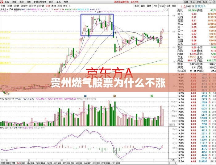 贵州燃气股票为什么不涨 贵州燃气股票为什么不涨