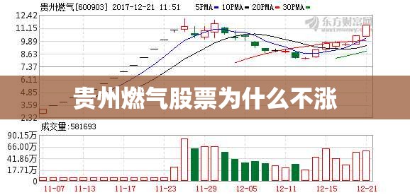 贵州燃气股票为什么不涨 贵州燃气股票为什么不涨