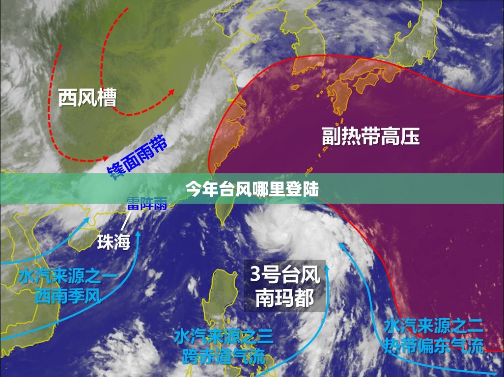今年台风哪里登陆