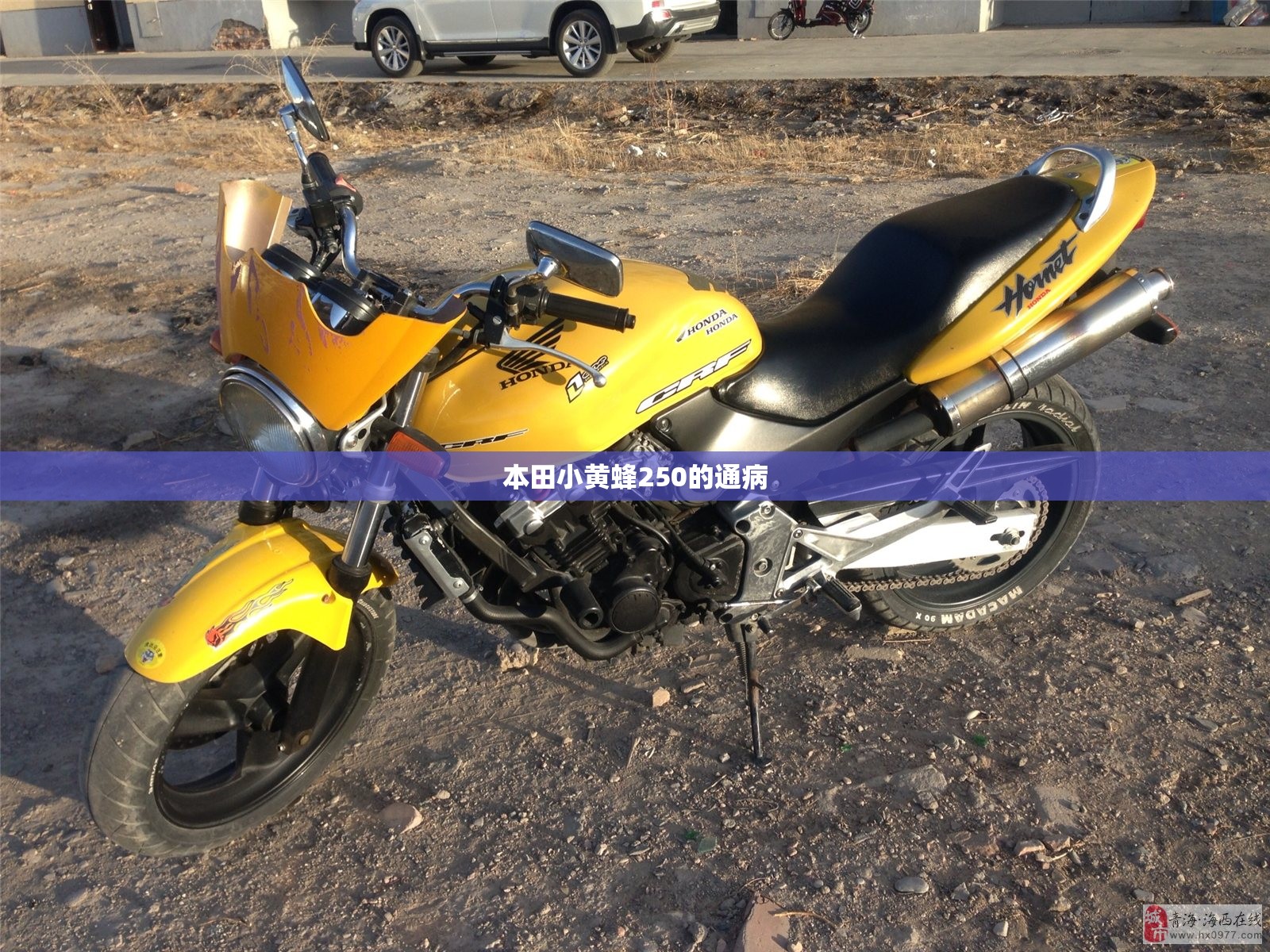 本田小黄蜂250的通病/本田小黄蜂250cc