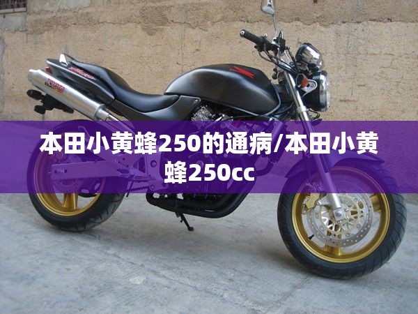 本田小黄蜂250的通病/本田小黄蜂250cc