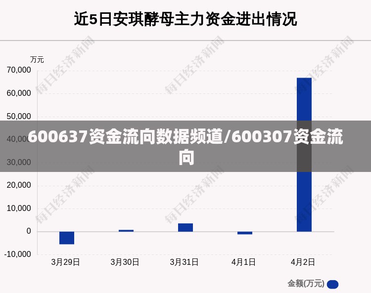 600637资金流向数据频道/600307资金流向