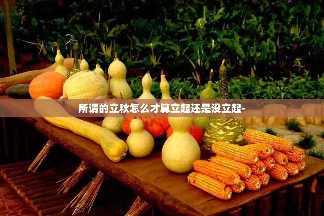 【迈凯轮650s多少钱,迈凯轮650t】