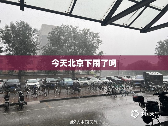 今天北京下雨了吗