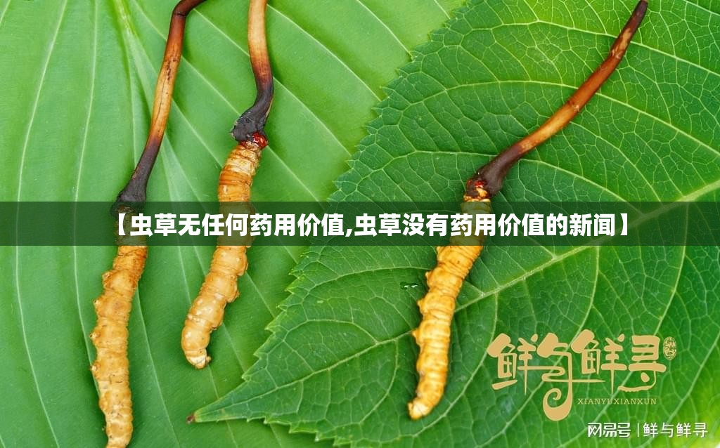 山东临沂大学官方网站/山东临沂大学官方网站录取查询
