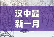 斯巴鲁汽车的全时四驱水平如何-相比奥迪怎样-