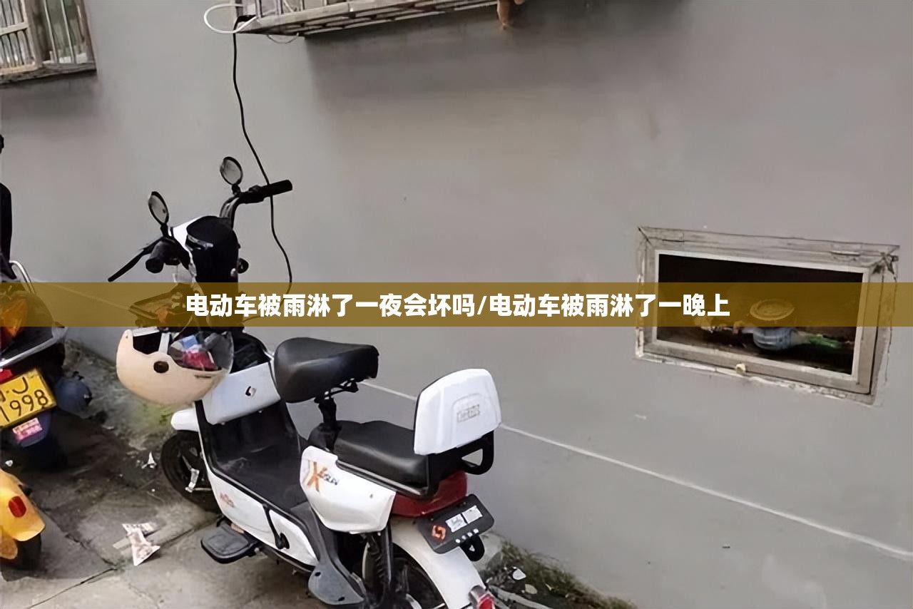 电动车被雨淋了一夜会坏吗/电动车被雨淋了一晚上