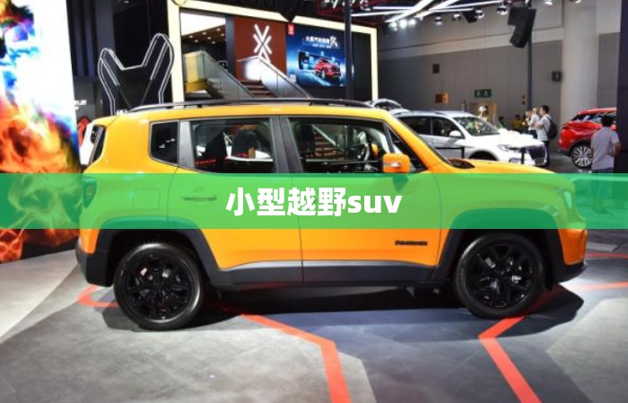 小型越野suv/小型越野客车年检规定