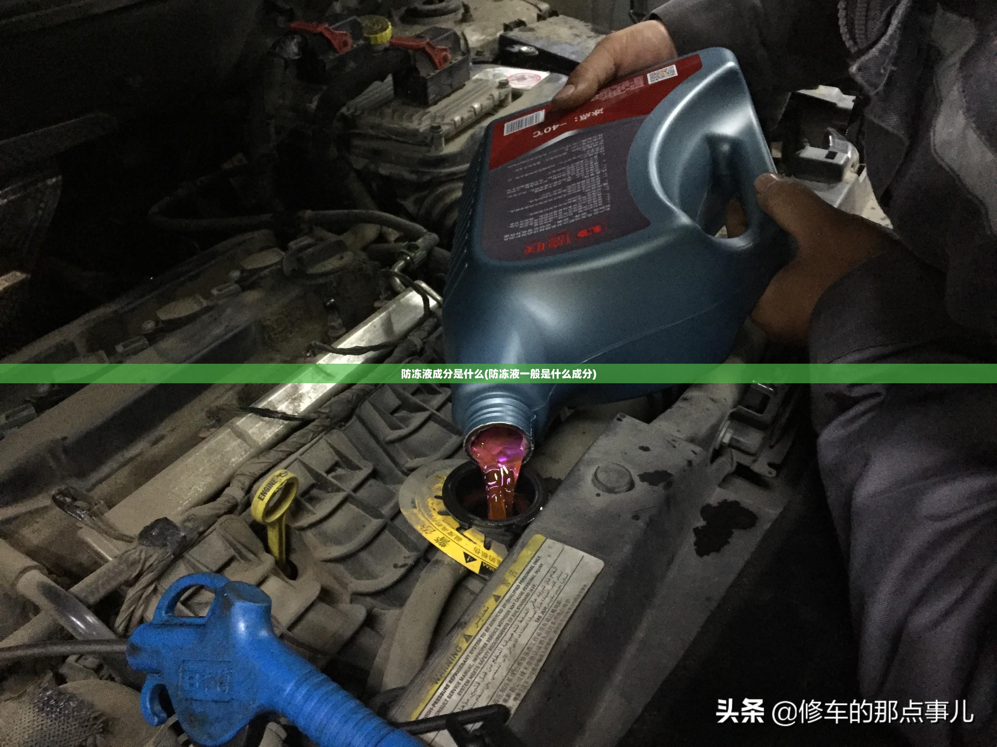 12月中旬从成都出发双飞到海南5日游全部花费要多少？