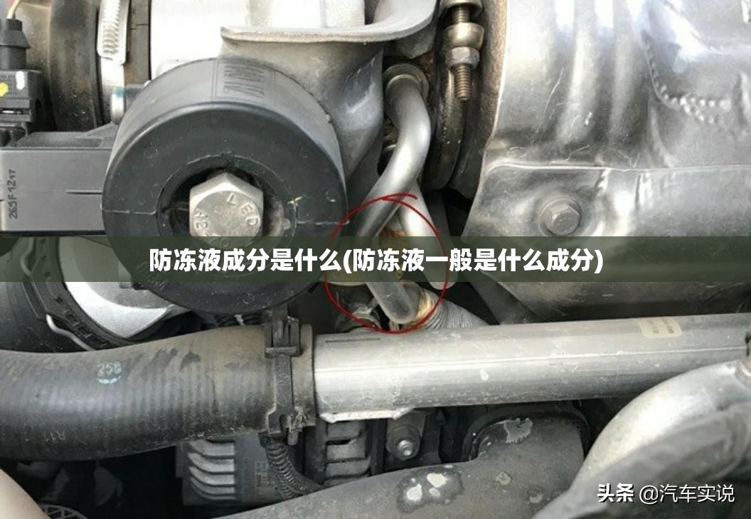 防冻液成分是什么(防冻液一般是什么成分)