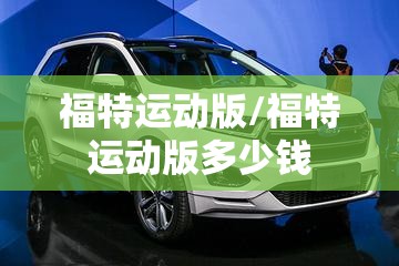 大通v90货运版后双胎