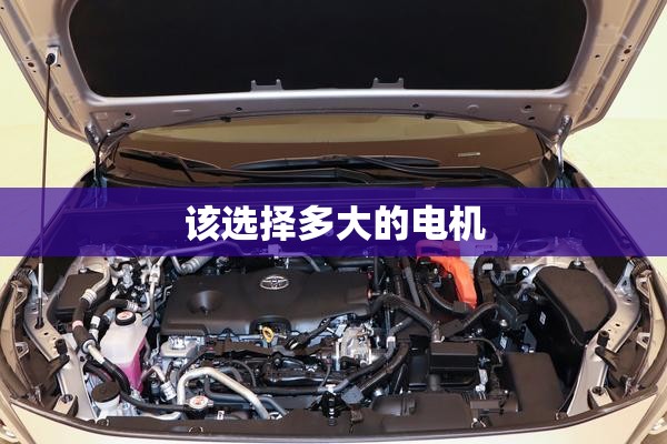 该选择多大的电机 该选择多大的电机