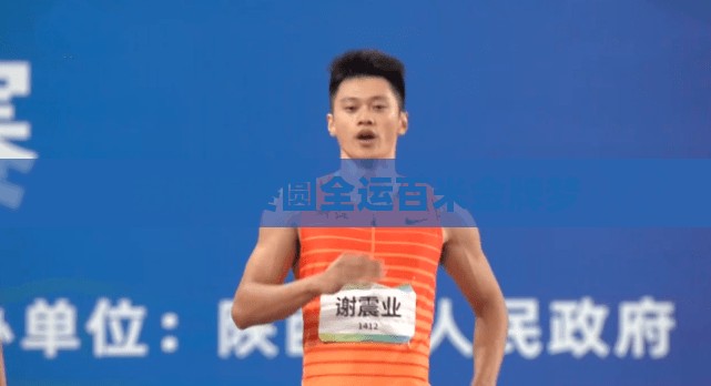 苏炳添终圆全运百米金牌梦