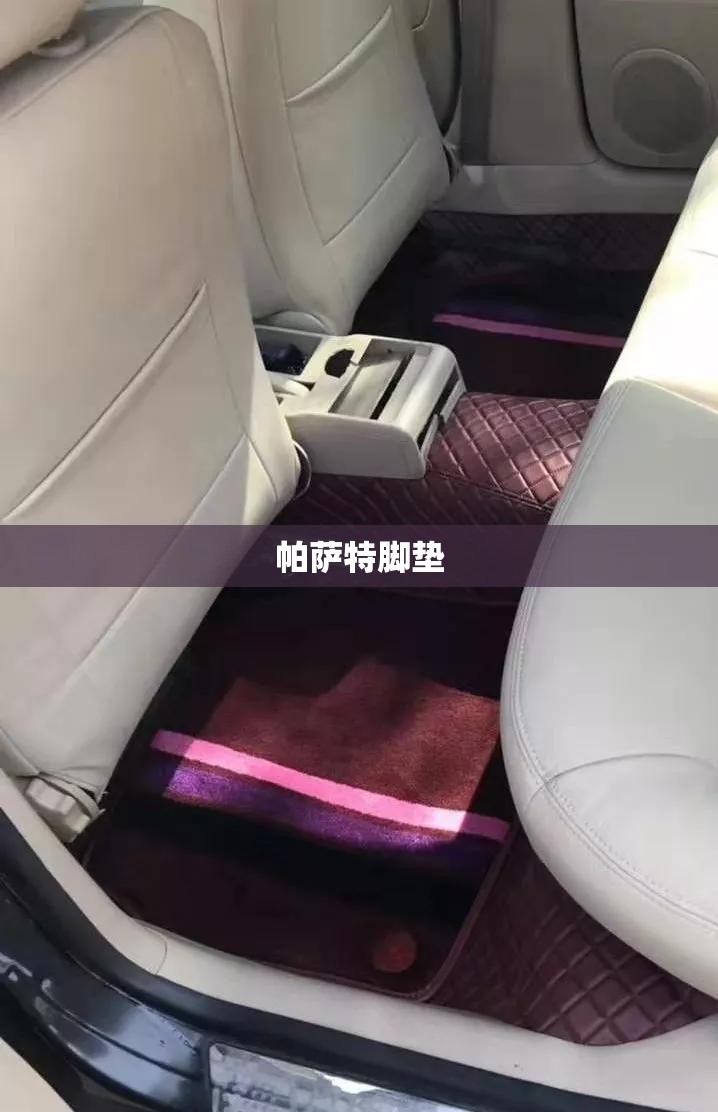 【帕萨特脚垫,帕萨特脚垫图片】