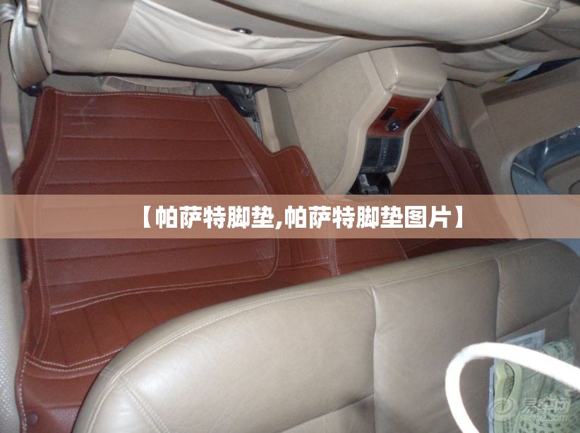 【帕萨特脚垫,帕萨特脚垫图片】