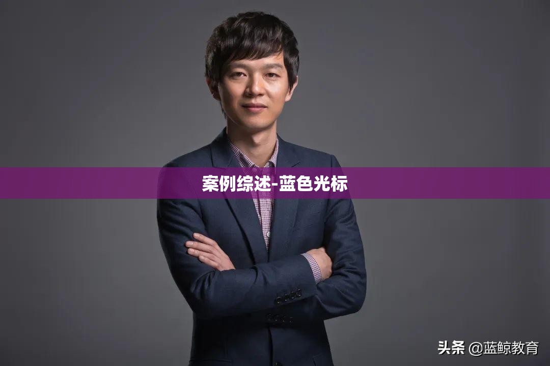 案例综述-蓝色光标