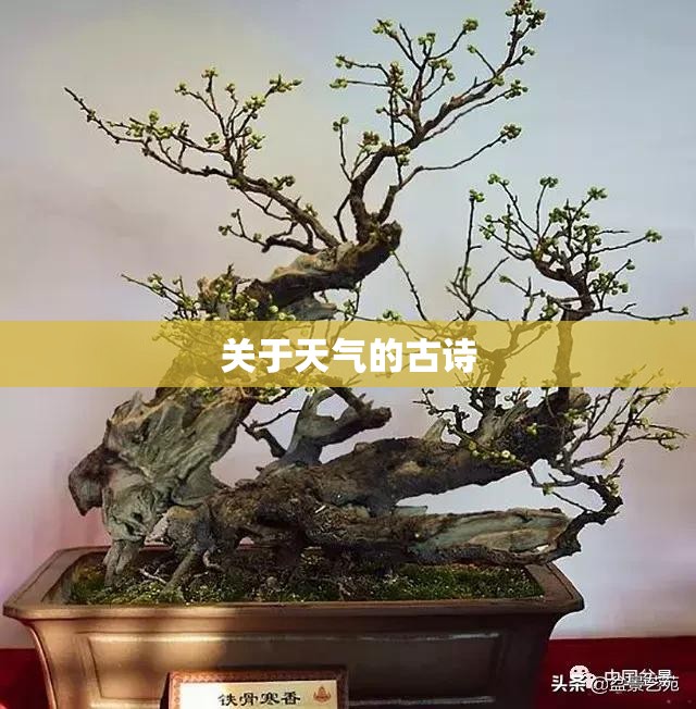 关于天气的古诗 关于天气的古诗