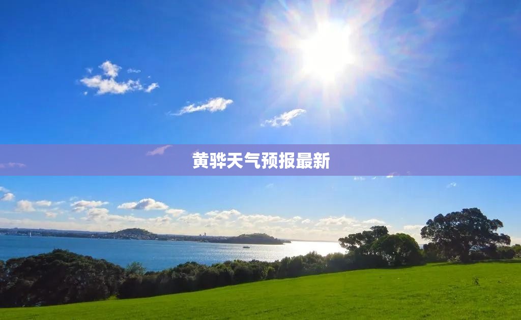 汽车网车型大全/太平洋汽车网车型大全