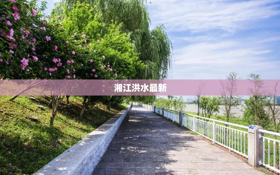 叶荣添最新股市博客/叶荣添最新股市分析