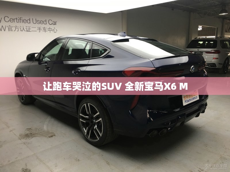 让跑车哭泣的SUV 全新宝马X6 M