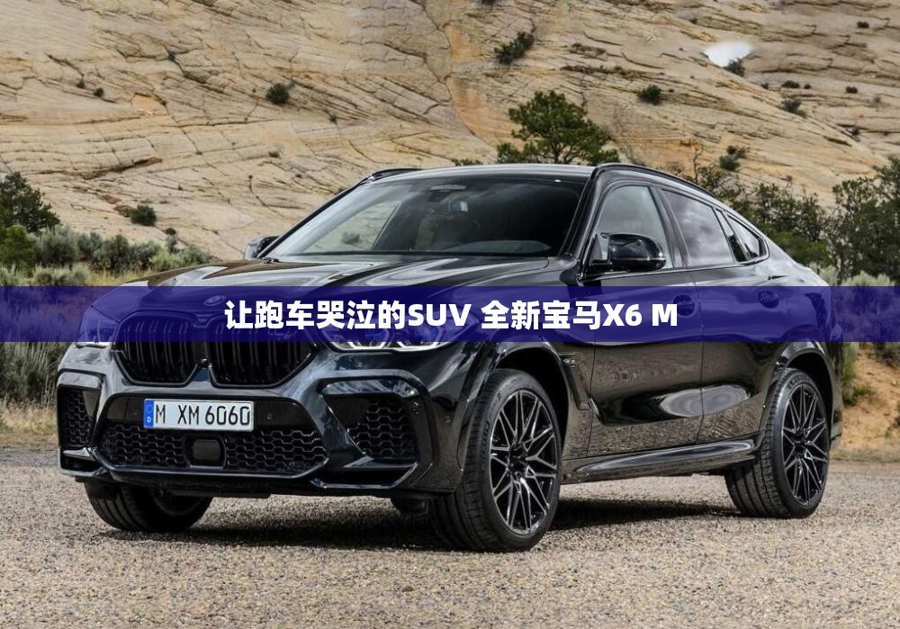 让跑车哭泣的SUV 全新宝马X6 M