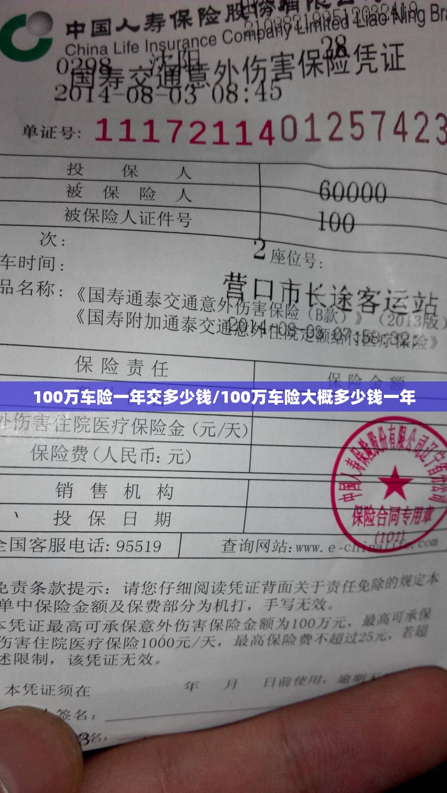 【聊城车辆违章查询,聊城违章查询公众号】