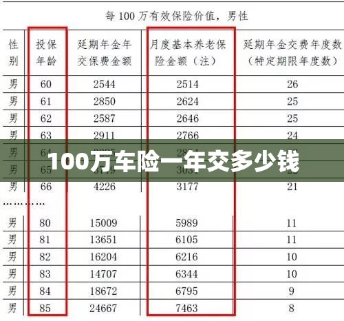 100万车险一年交多少钱/100万车险大概多少钱一年 100万车险一年交多少钱/100万车险大概多少钱一年
