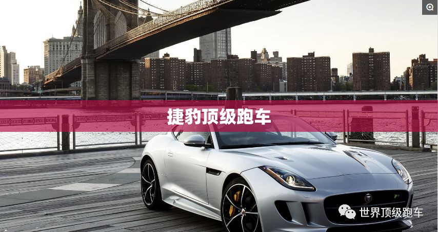 雷克萨斯为什么叫凌志
