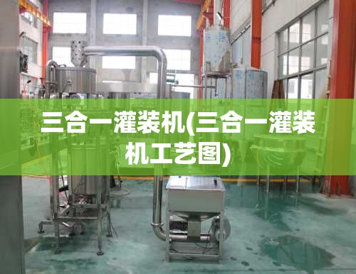 三合一灌装机(三合一灌装机工艺图)