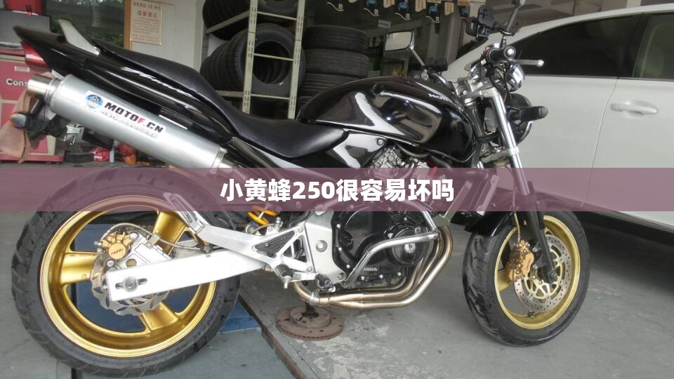 台凤最新路径/台台风路径实时发布